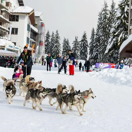 بيت للعطل Elitza *