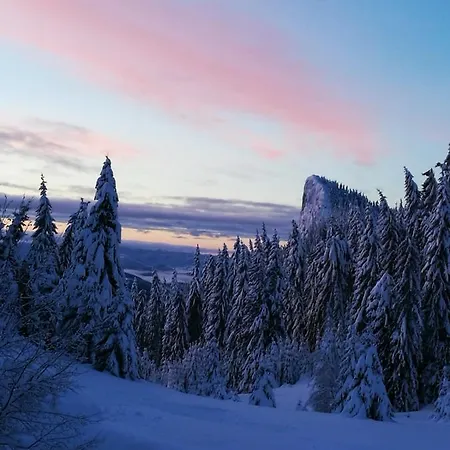 Elitza بامبوروفو