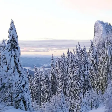 بيت للعطل Elitza