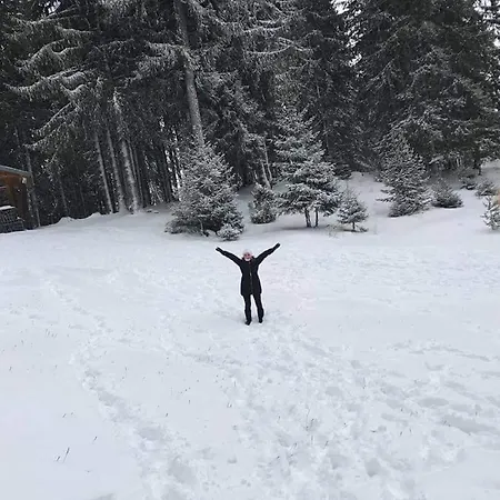 Elitza بيت للعطل *