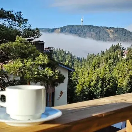 Elitza Ferienhaus Pamporowo