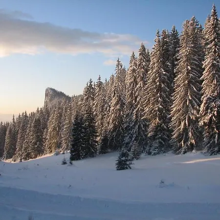 Elitza بيت للعطل *