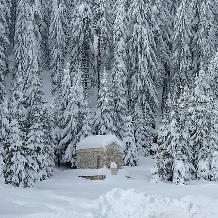 Elitza Holiday home