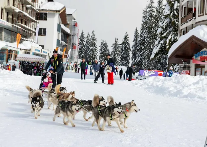 Dom wakacyjny Elitza *