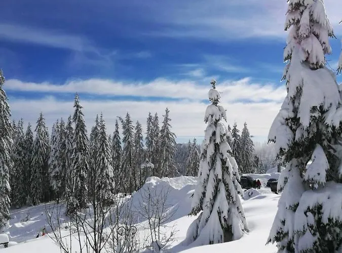 Elitza בית נופש פמפורובו