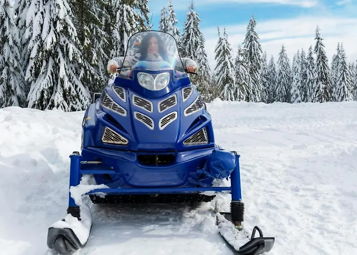 Dom wakacyjny Elitza *