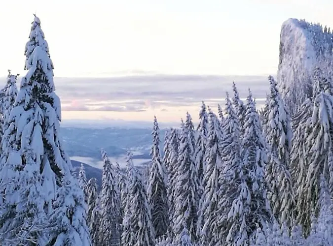 בית נופש Elitza