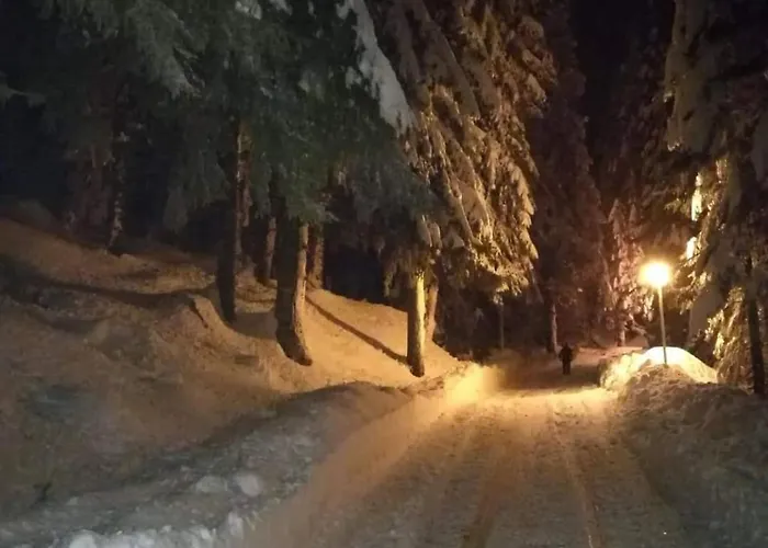 Elitza Dom wakacyjny Pamporowo