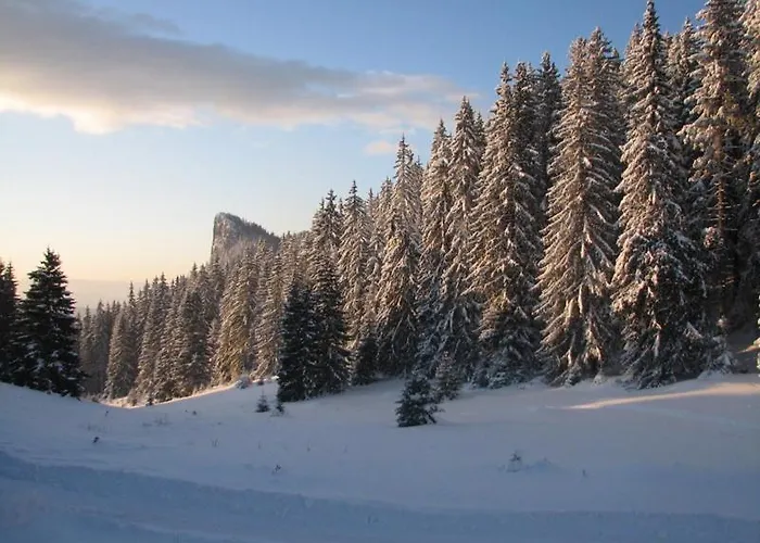 Elitza Dom wakacyjny *