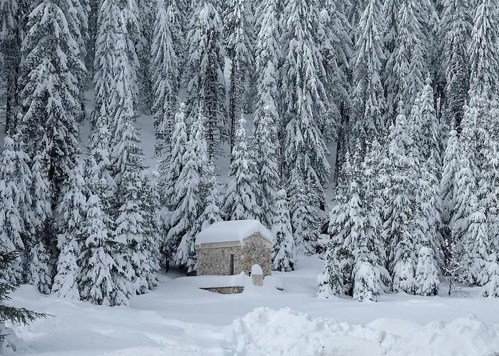 Elitza Dom wakacyjny